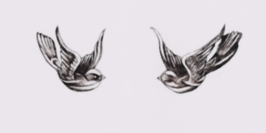 TheNotas1D's profile banner image