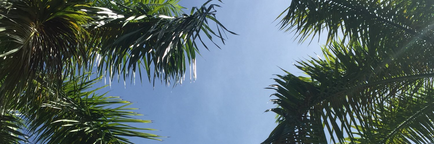 chaarrrrx's profile banner image
