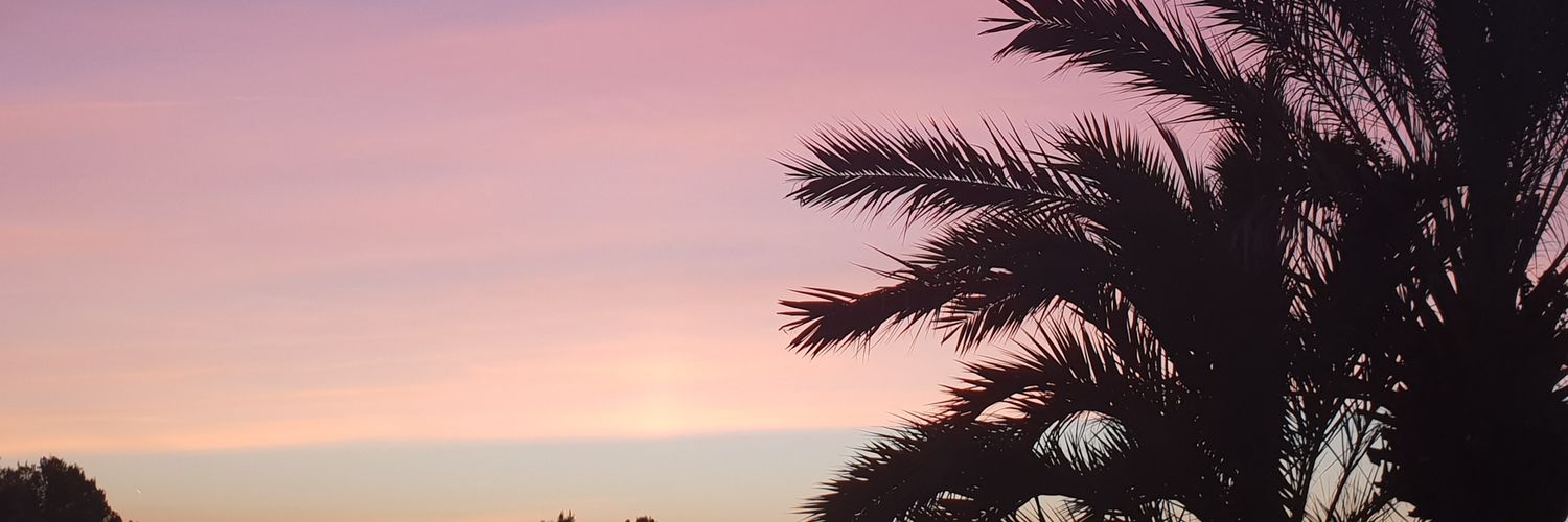 karrieanne2's profile banner image