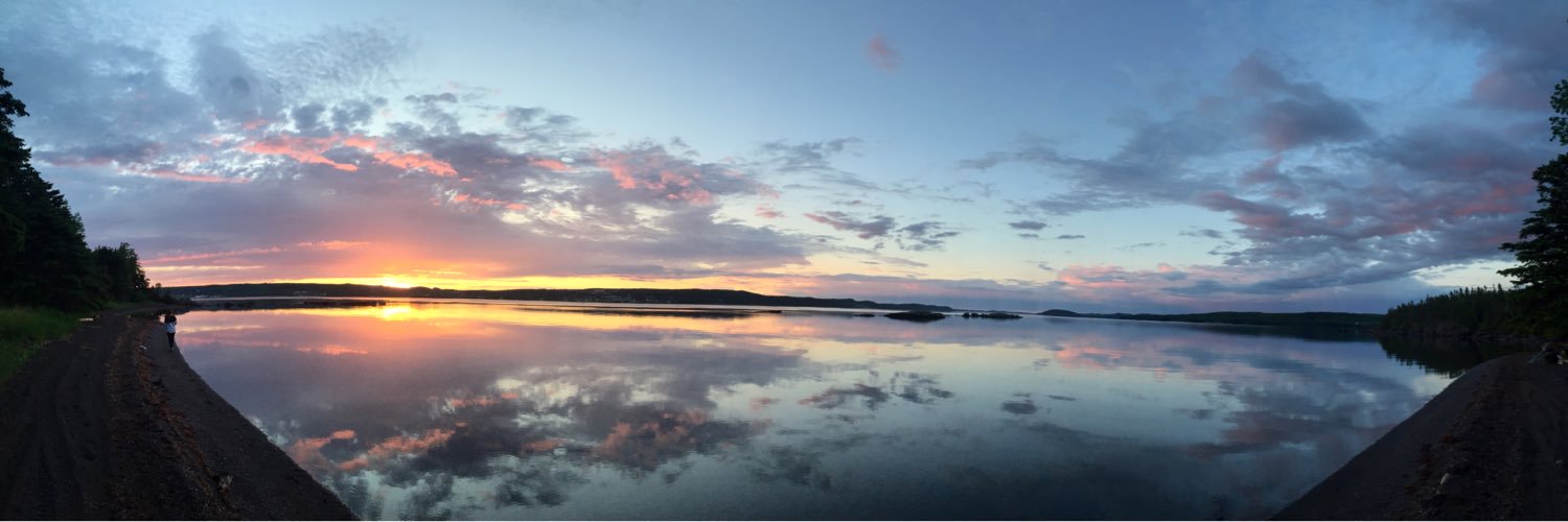 reneedevro's profile banner image