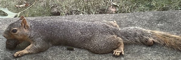 bfolson18 Profile Banner