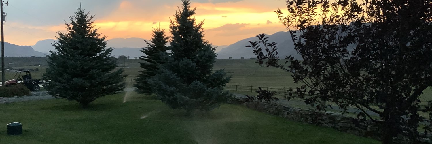 cinderclinton's profile banner image