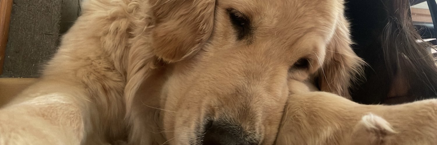Carmefernandez0's profile banner image