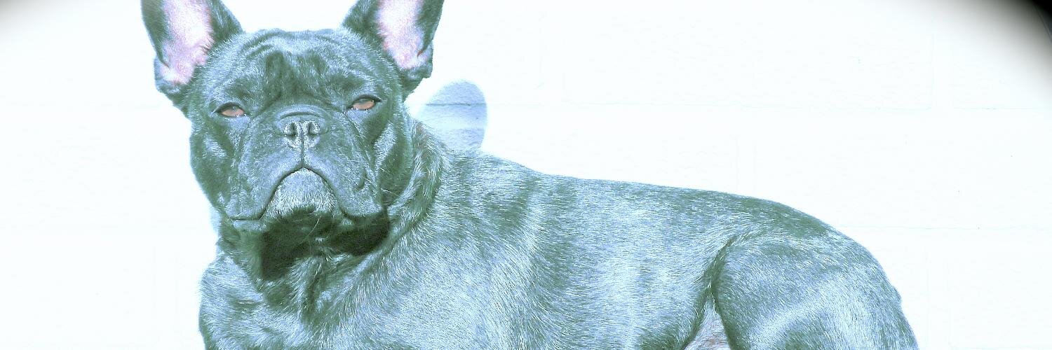Tezzalc's profile banner image