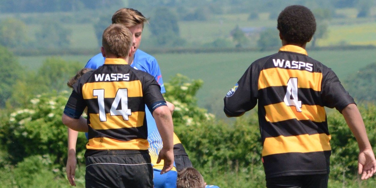 WolvesWasps's profile banner image