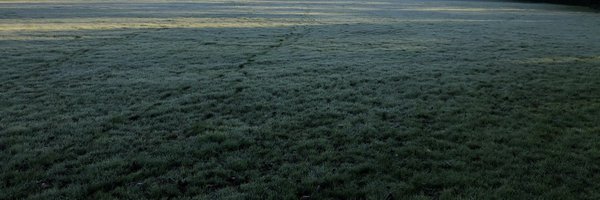 brianlee Profile Banner