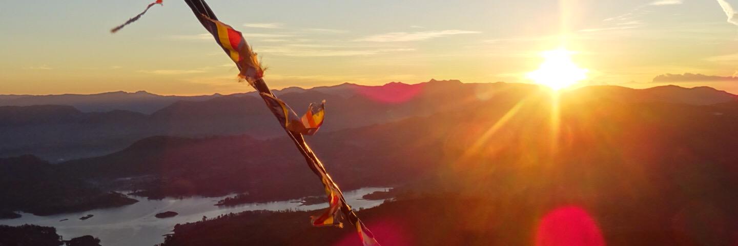 _TomPapworth's profile banner image