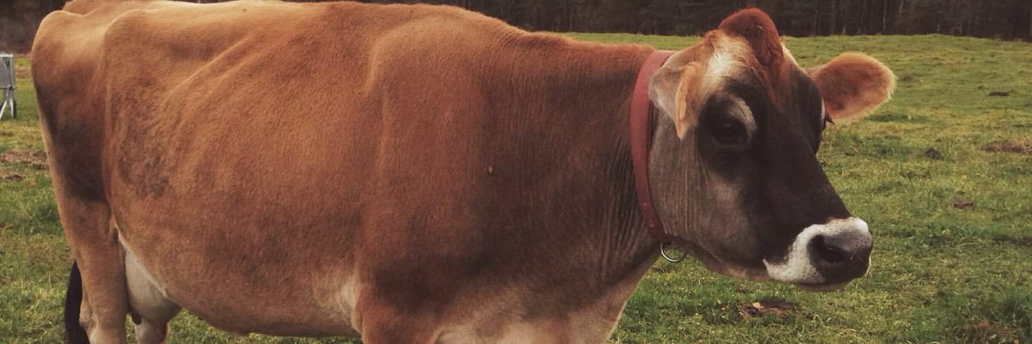 hearcharlie's profile banner image