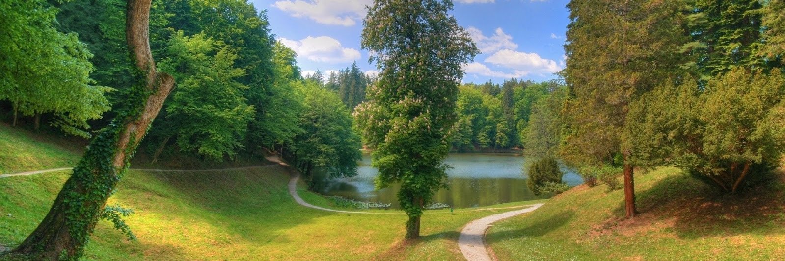 Paola Ramírez banner