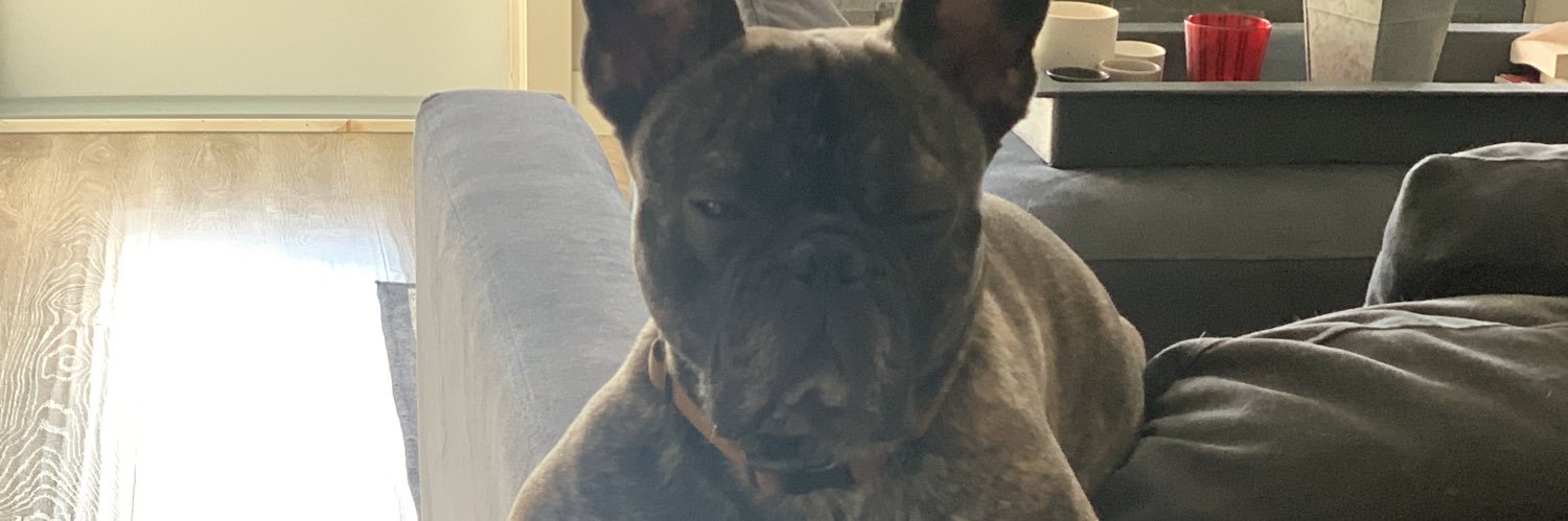 Cale Jefferies banner