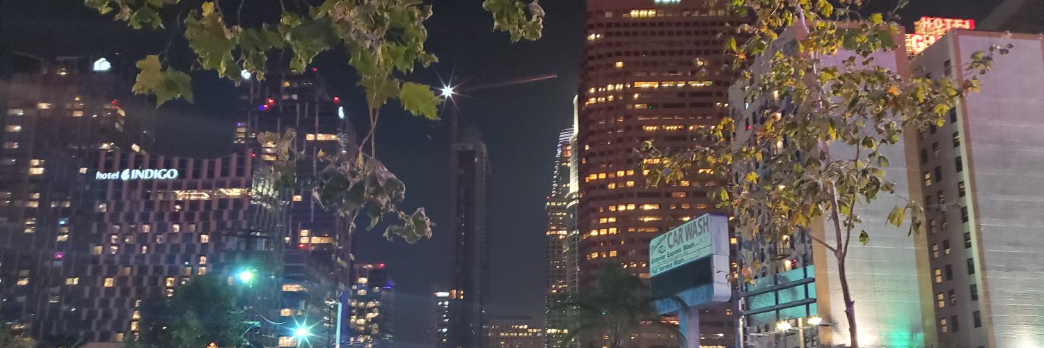 pahlee's profile banner image