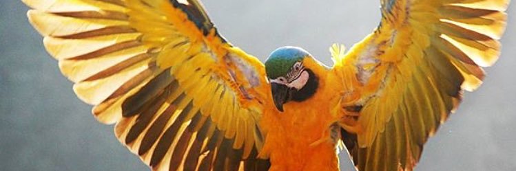 Edgarjccs's profile banner image