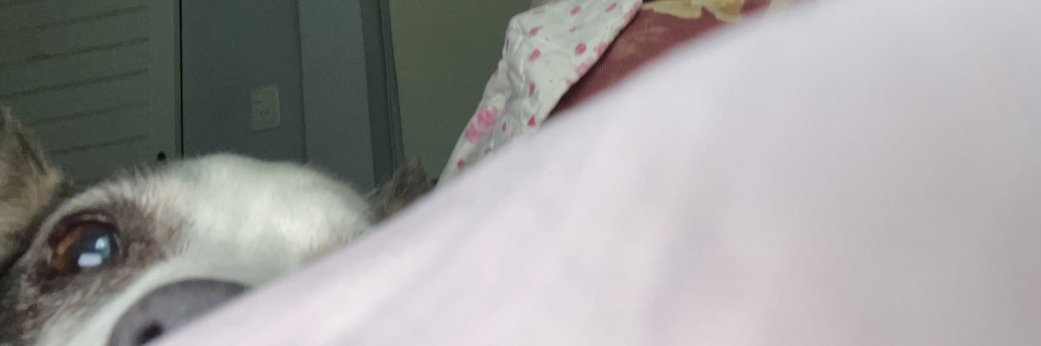 martu_conte's profile banner image