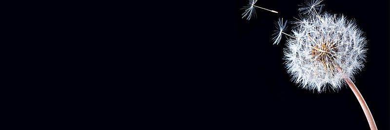 Geneesis97's profile banner image