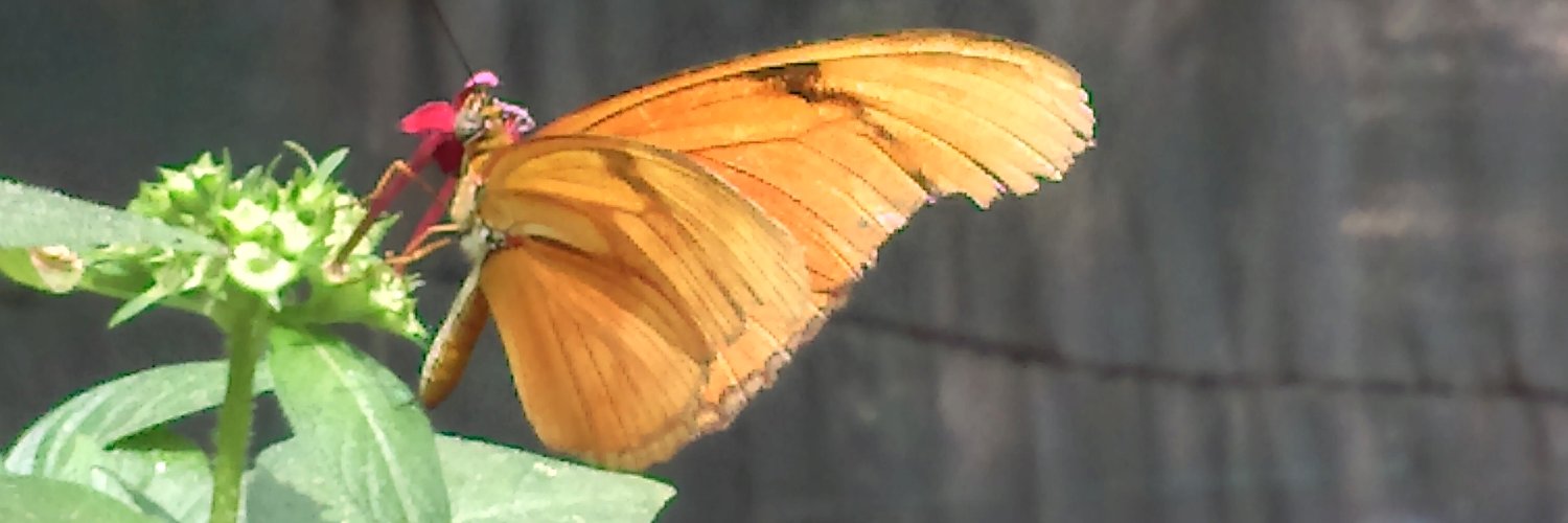 イグナシオ banner