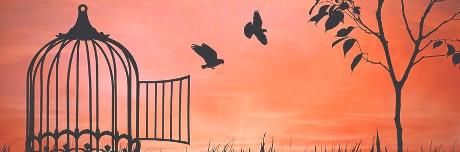 KaylaStraub1's profile banner image