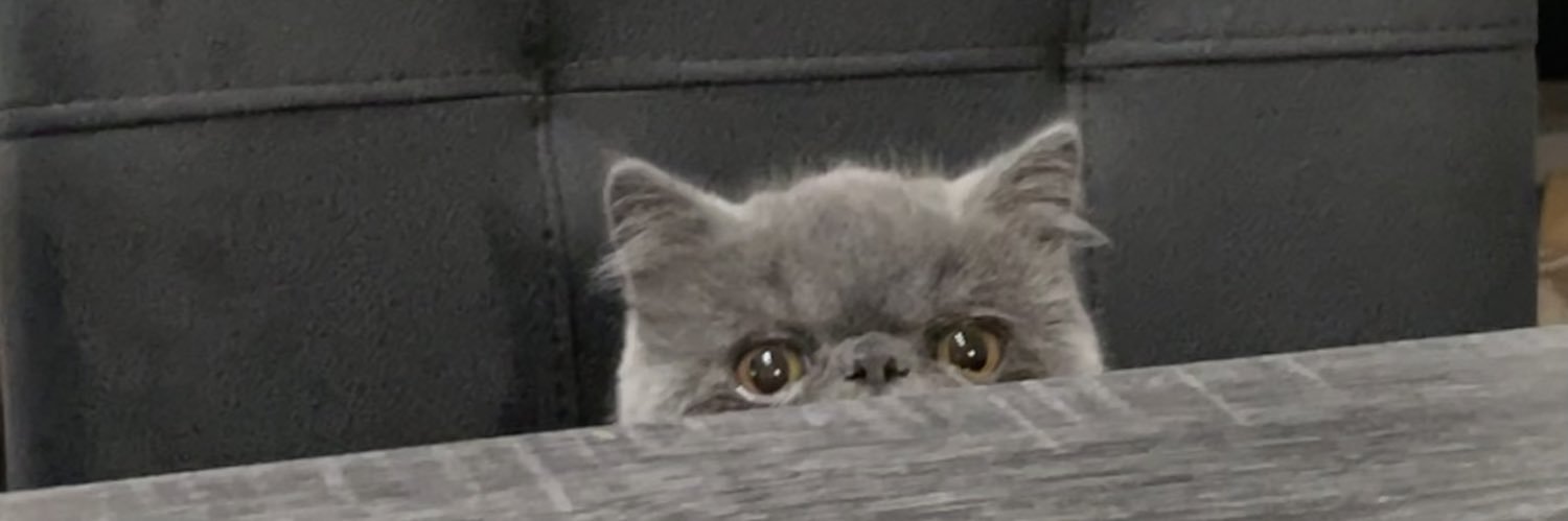 whodatnotmee's profile banner image