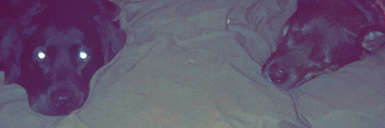 hotcakeballoons's profile banner image