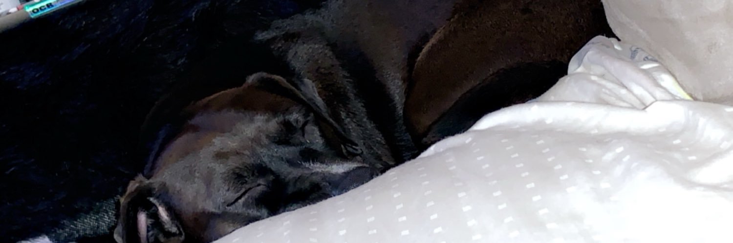 dreaaa_11's profile banner image