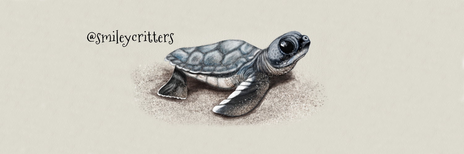 smileycritters's profile banner image