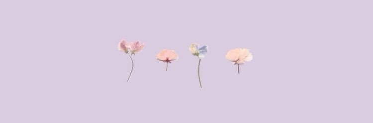 NOUIF__'s profile banner image