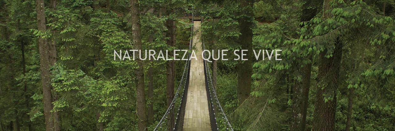 La Reserva banner