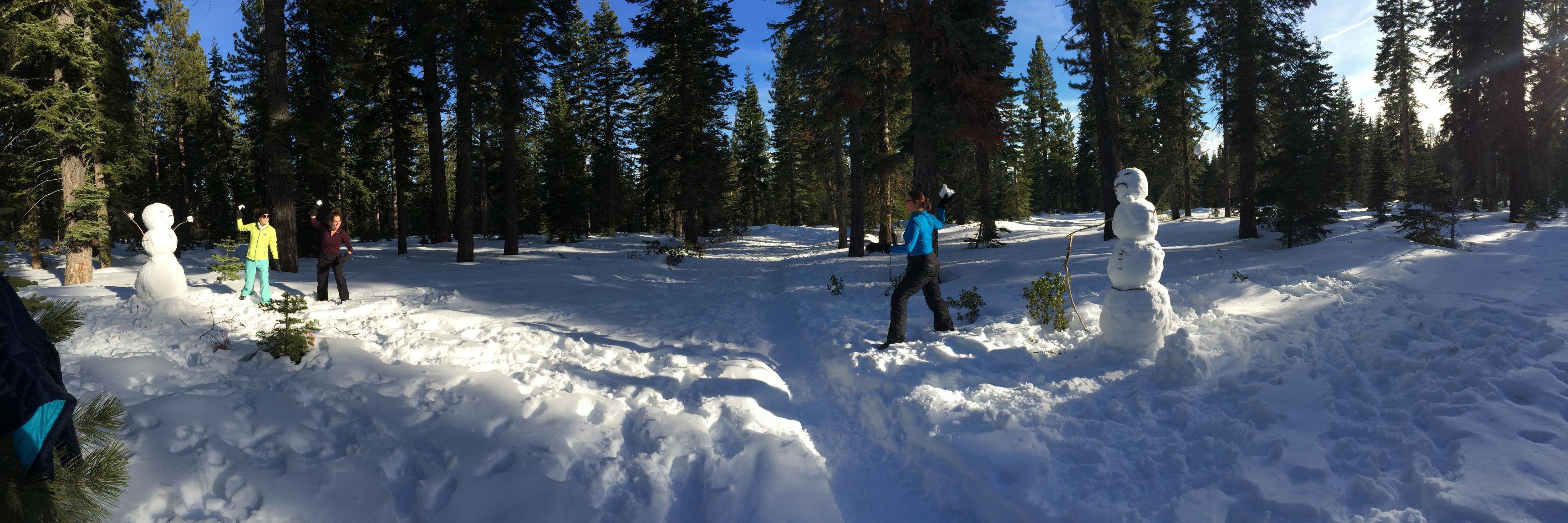 Marissa Stein banner