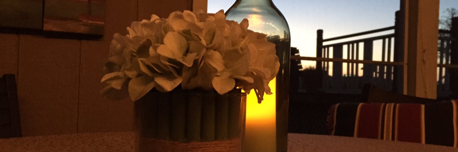 Melissa W. Scott banner