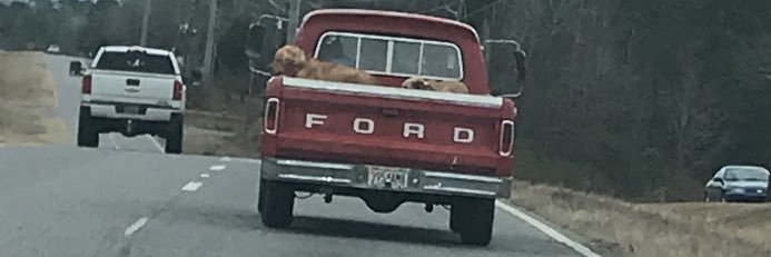 Lane Clark banner