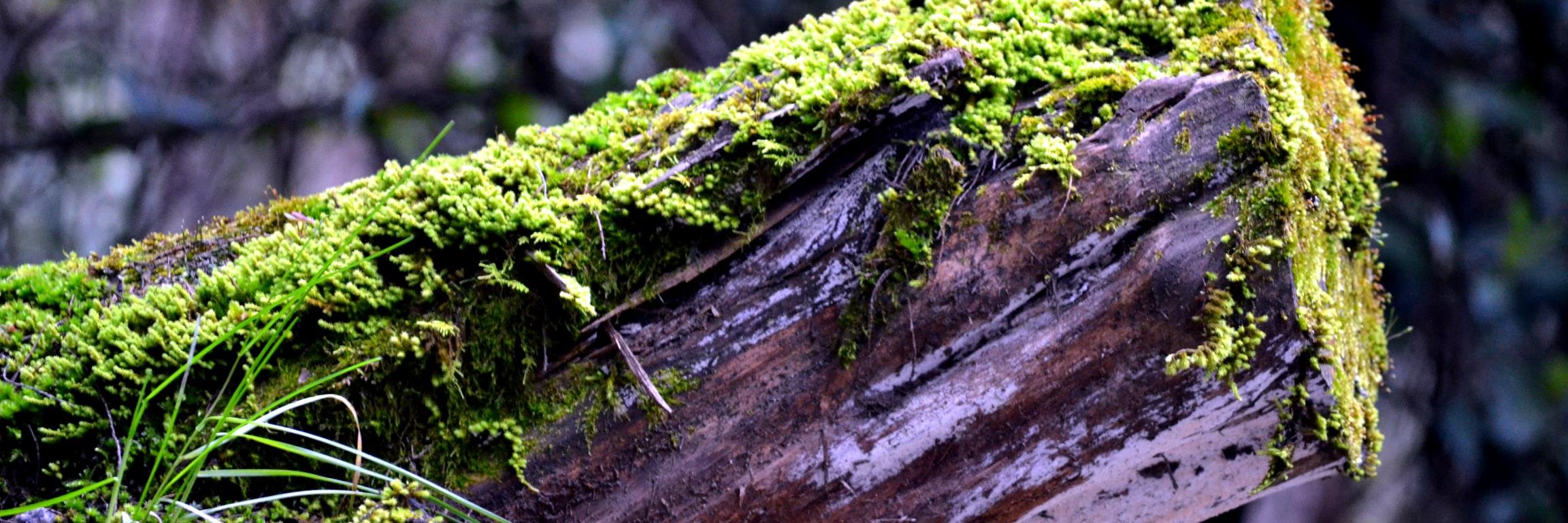 tdkarthik's profile banner image