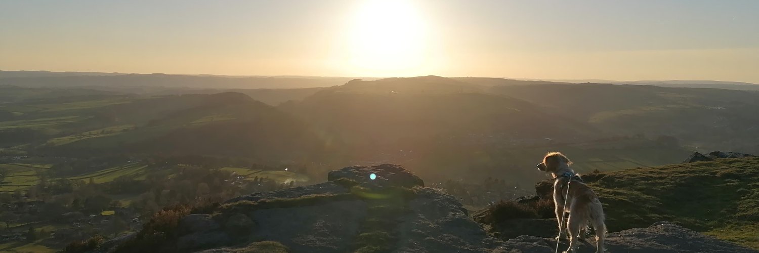 ollie_wilko's profile banner image