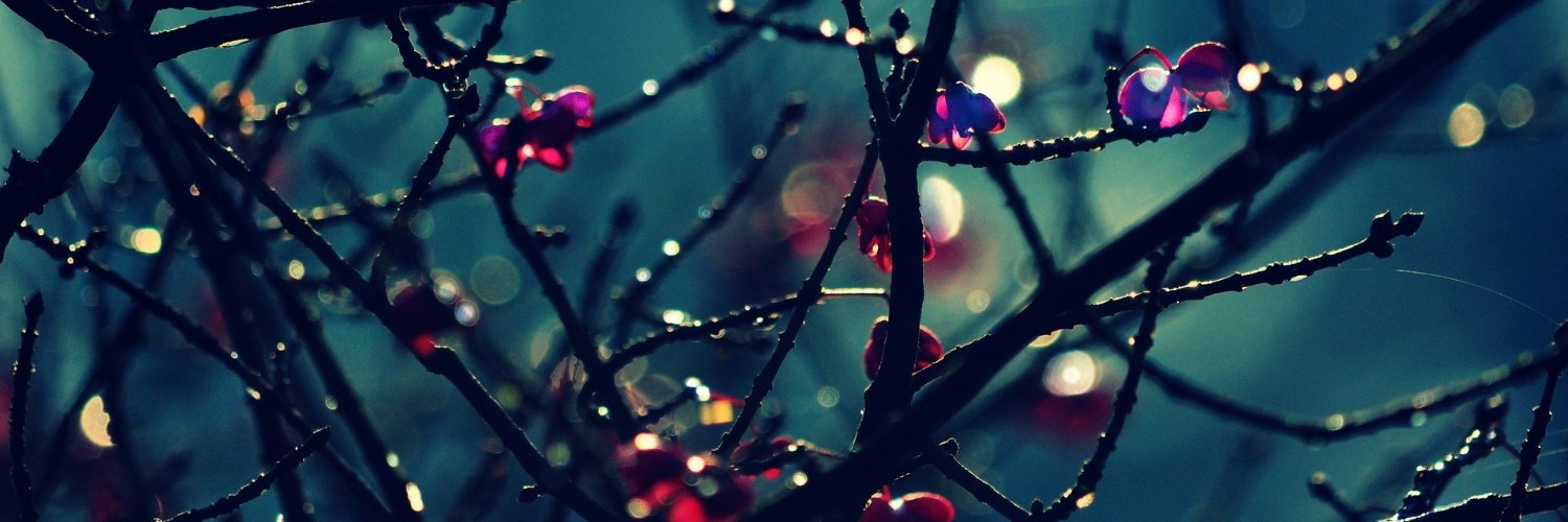 iq_herrera's profile banner image