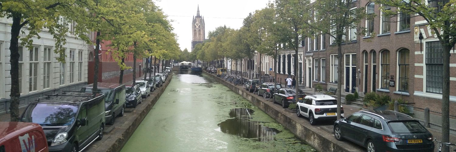 smol chickie🐥 banner