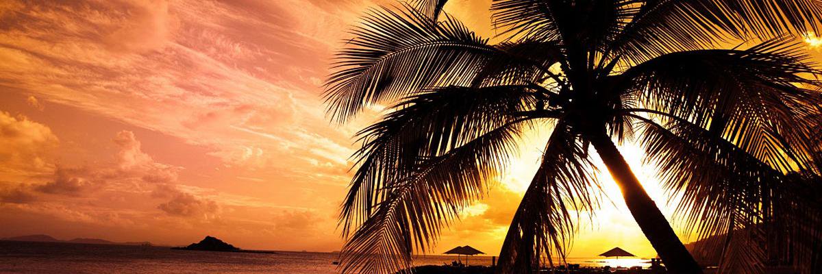 themattfischer's profile banner image