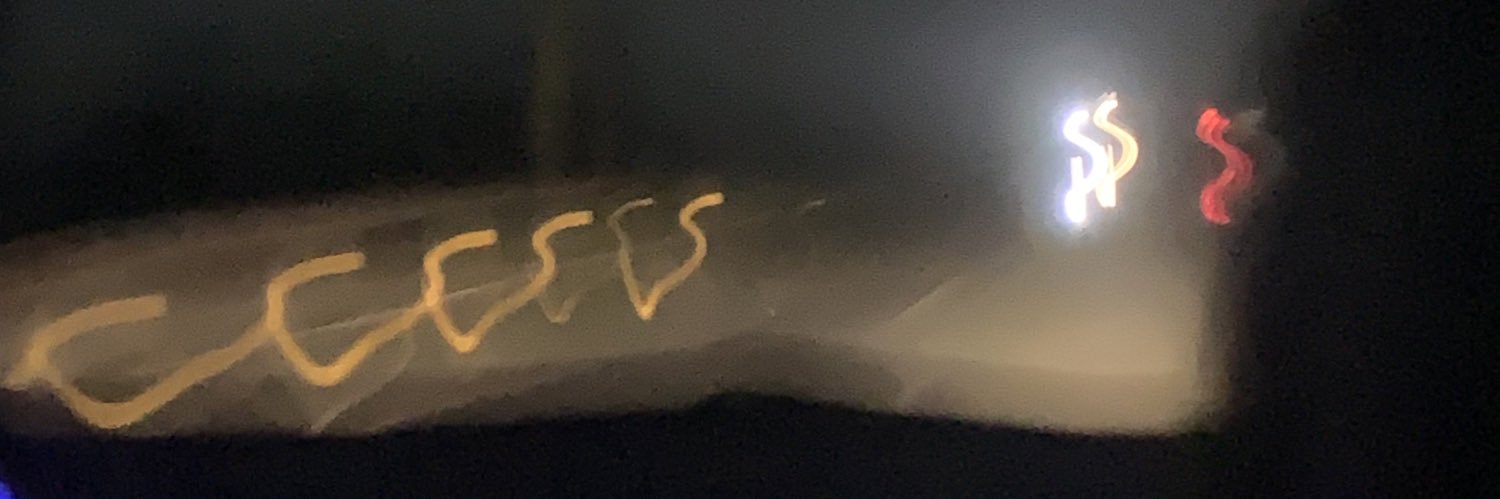 linsmarina's profile banner image