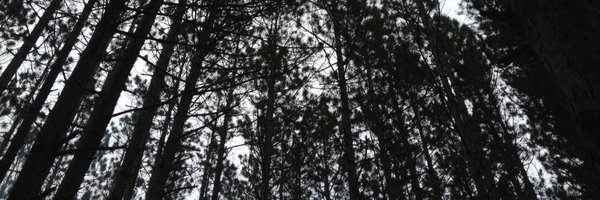 _JMott Profile Banner