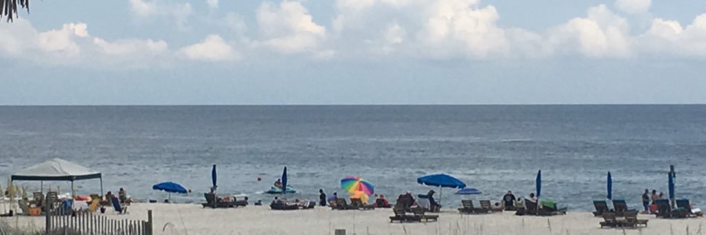 greg gisinger banner