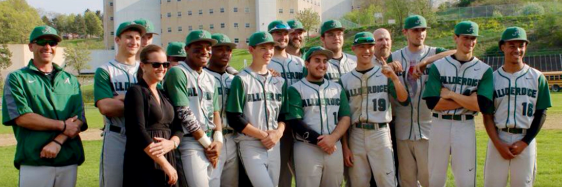 DiceBaseball's profile banner image