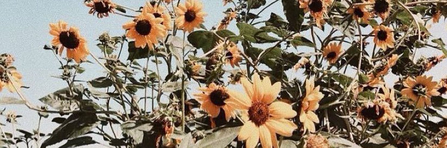 CraziiBluex26's profile banner image