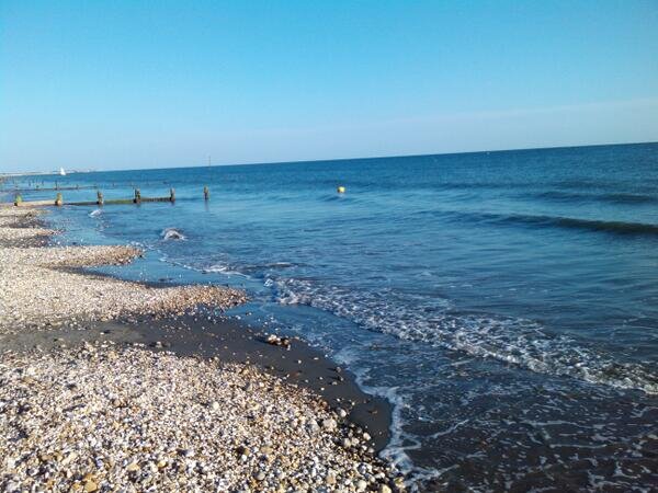 Cheryl Workman banner