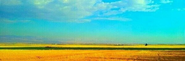 RindalaK Profile Banner