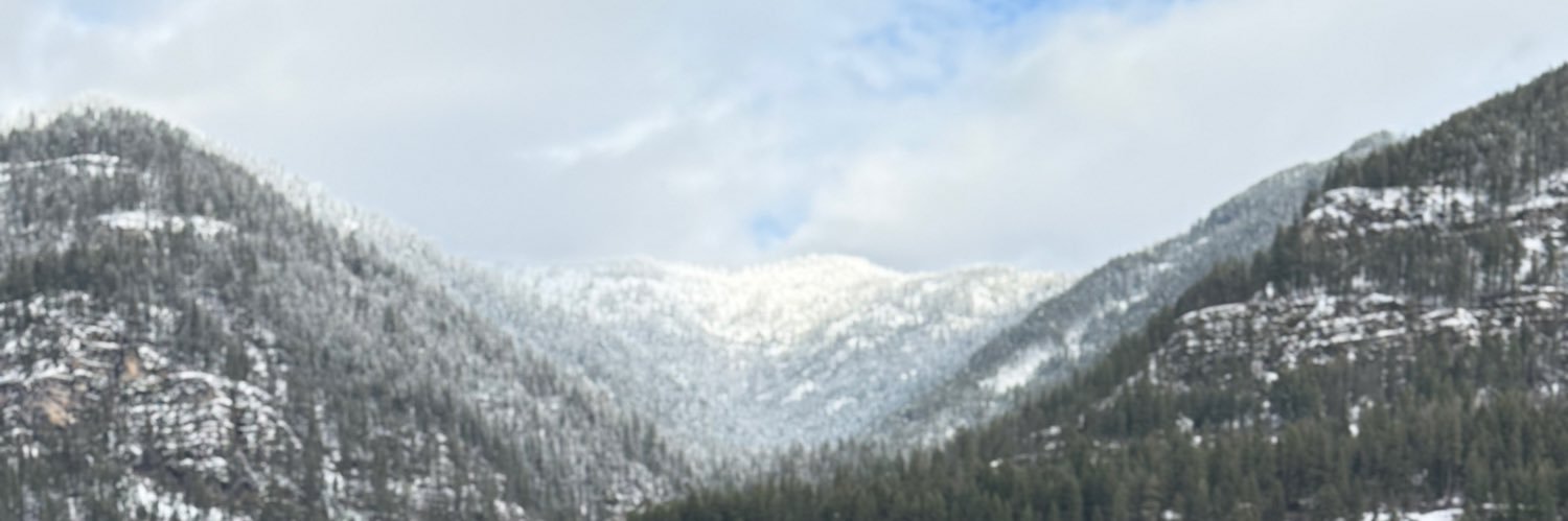 stephenson_13_'s profile banner image