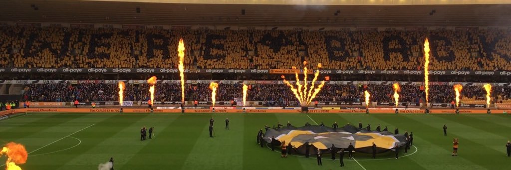 The Big TM /\_/\ banner