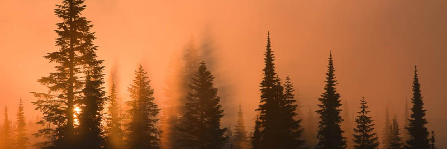 RodBarbee's profile banner image