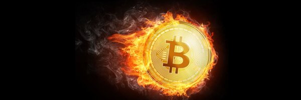 tim_btc Profile Banner
