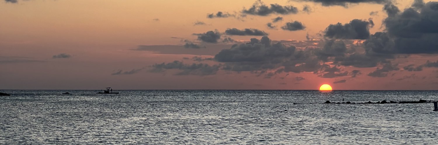 hollyroy_'s profile banner image