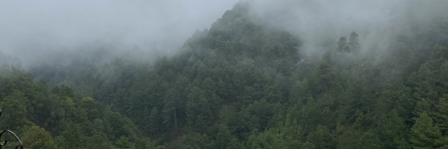 Di_Cot's profile banner image