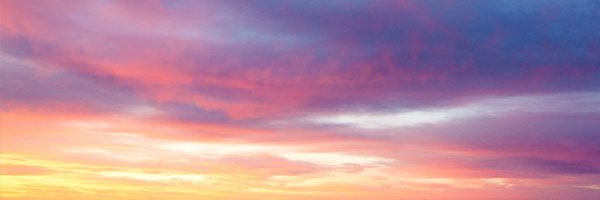 halowolfer's profile banner image