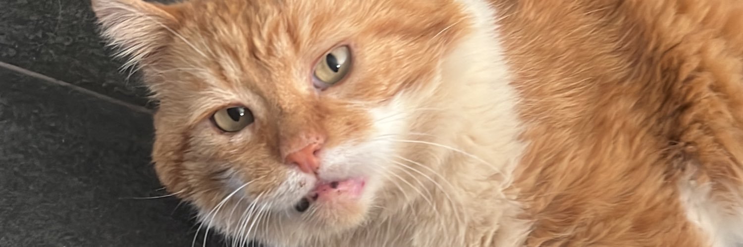 Niinyy's profile banner image