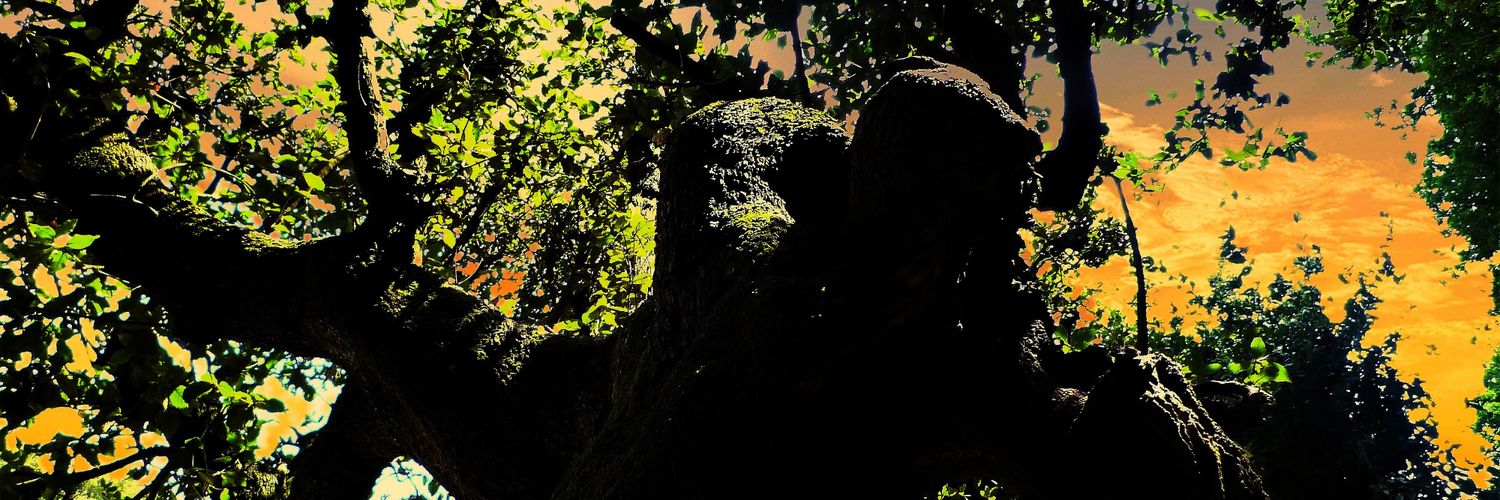 ciroabbate's profile banner image